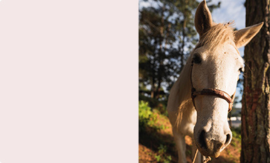 cms-banner-3.jpg
