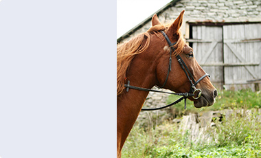 cms-banner-2.jpg