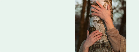 cms-banner-3.jpg