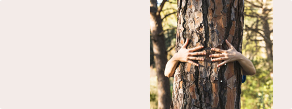cms-banner-4.jpg