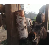 WoodBities "Compact" – Knabberholz für Ponys & Co. zur natürlichen Beschäftigung