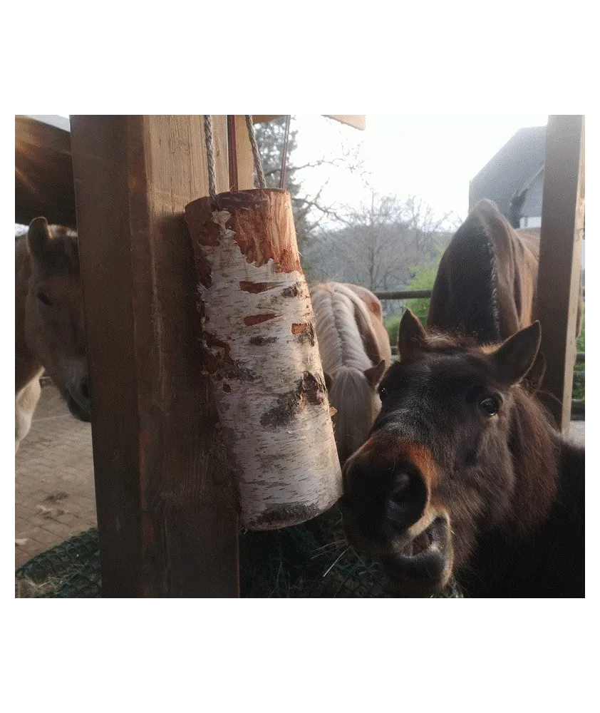 WoodBities "Compact" – Knabberholz für Ponys & Co. zur natürlichen Beschäftigung