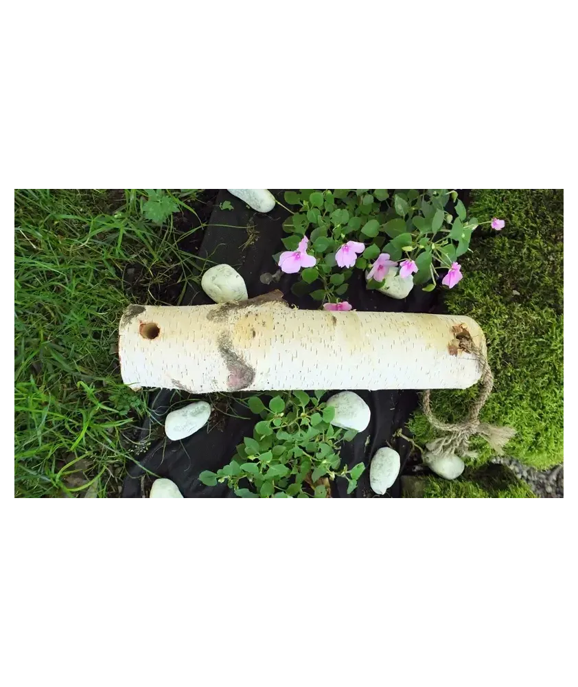 WoodBities Classic – Frisches Knabberholz für gesunde Beschäftigung WoodBities Classic – Frisches Knabberholz für gesunde Beschäftigung