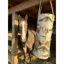 WoodBities XL – Großes Knabberholz für Pferde, Schafe, Ziegen und Alpakas