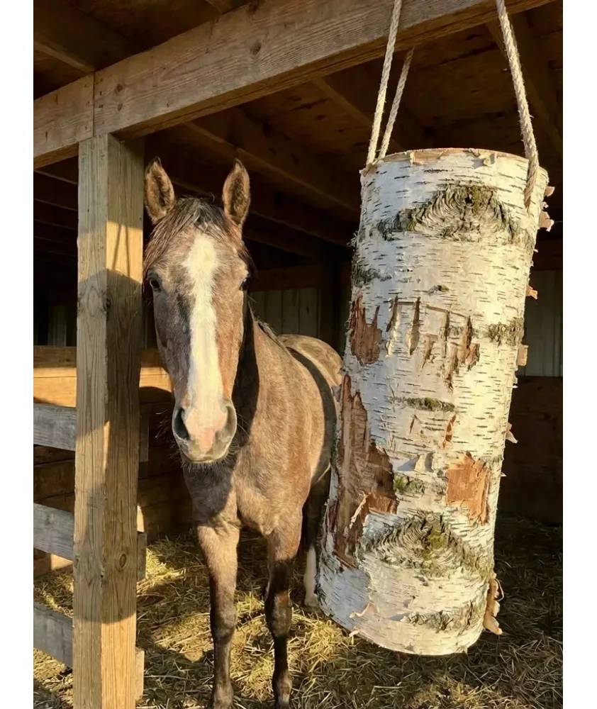 WoodBities XL – Großes Knabberholz für Pferde, Schafe, Ziegen und Alpakas
