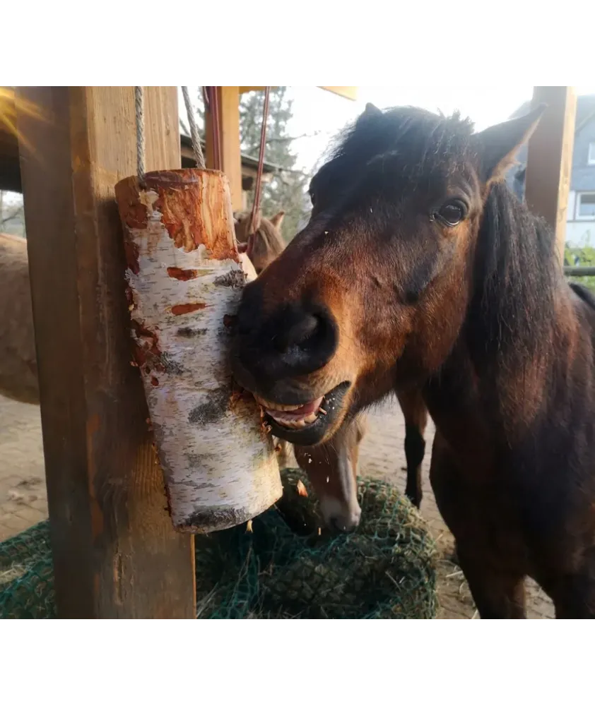 WoodBities Classic – Frisches Knabberholz für gesunde Beschäftigung