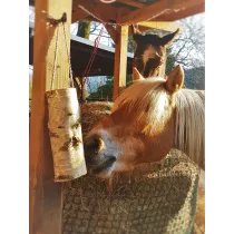 WoodBities Grande – Großes Knabberholz für Pferde, Schafe, Ziegen und Alpakas