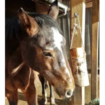 WoodBities XL – Großes Knabberholz für Pferde, Schafe, Ziegen und Alpakas