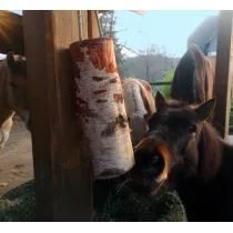 WoodBities "Compact" – Knabberholz für Ponys & Co. zur natürlichen Beschäftigung