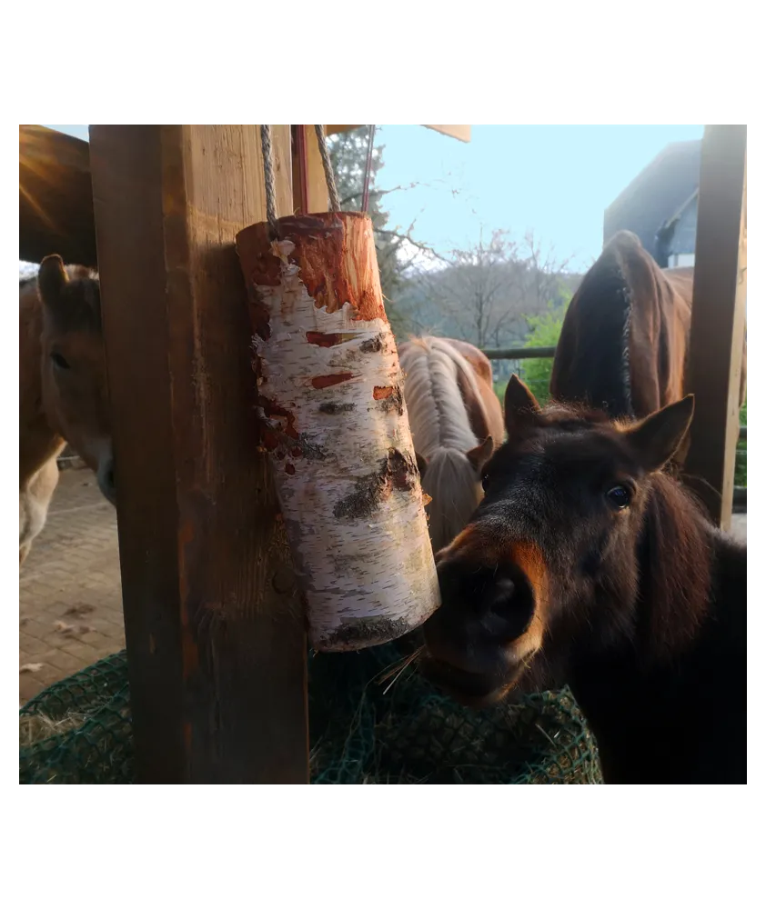 WoodBities "Compact" – Knabberholz für Ponys & Co. zur natürlichen Beschäftigung WoodBities "Compact" – Knabberholz für Ponys & Co. zur natürlichen Beschäftigung